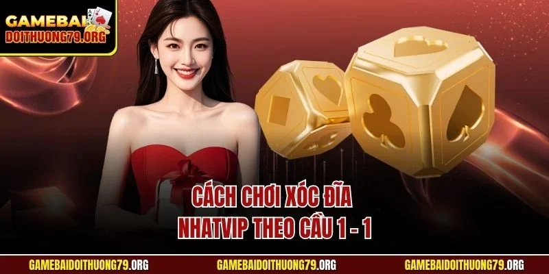 Cách chơi xóc đĩa Nhatvip theo cầu 1 - 1